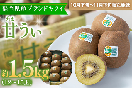 福岡県産ブランドキウイ「甘うぃ」約1.5kg(12-15玉)