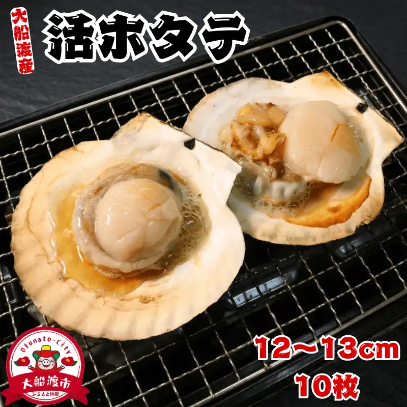 活ホタテ 10枚(12cm~13cm)  殻付き