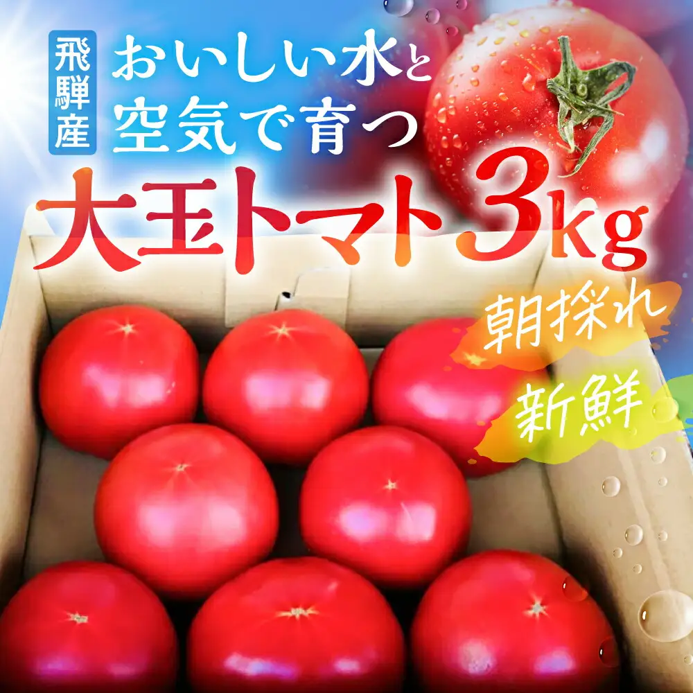 【2026年7月下旬～発送】大玉トマト 3kg / トマト 池田農園