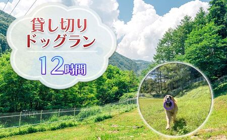 ドッグラン利用券 貸切 完全貸切 大型犬OK ドッグラン利用券【12時間】