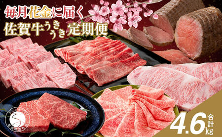 毎月決まった時に届く！花金 定期便 佐賀牛3～4人前をお届け！週末受取希望の方必見 週末が楽しみになる 花の金曜日 フライデーナイト 牛肉 黒毛和牛 極上の佐賀牛 厳選 お肉 おにく ギフト プレゼント 贈り物 za025