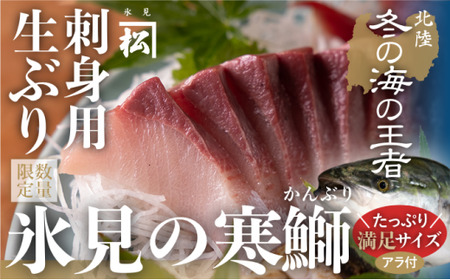 【先行予約】 【魚問屋直送】天然「生ひみ寒ぶり」刺身用 約800g〈アラ付き〉