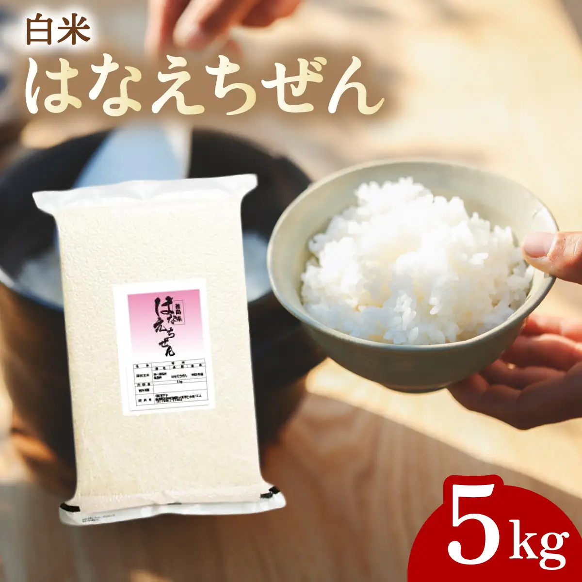 はなえちぜん 白米 5kg 真空パック ハナエチゼン 米 簡易梱包 エコ梱包
