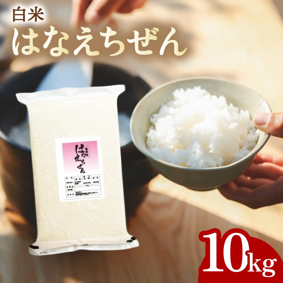 はなえちぜん 白米 5kg×2袋 真空パック ハナエチゼン 米 簡易梱包 エコ梱包