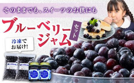 対馬産 大粒 ブルベーリー 700g×2袋 / ジャム セット 130g×2個 ブルーベリー フルーツ 詰め合わせ 朝食 新鮮 果実 ギフト   [WBG007]