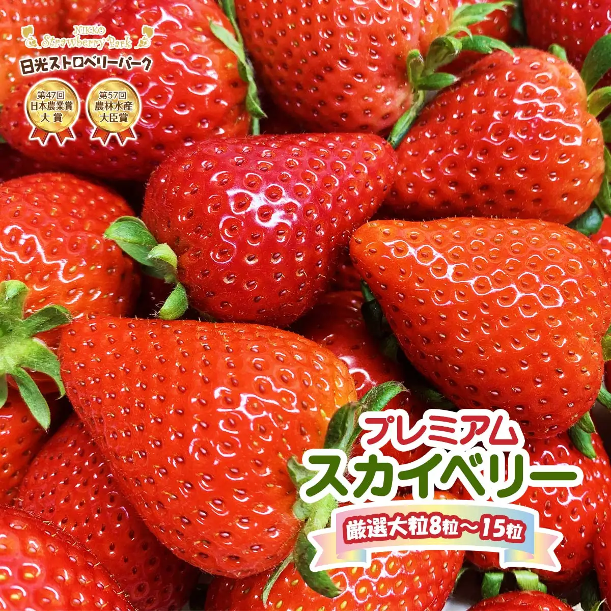 [先行予約] プレミアム『スカイベリー』大粒のみ厳選 8粒から15粒詰 約420g [2027年1月上旬より順次発送] [1028]
