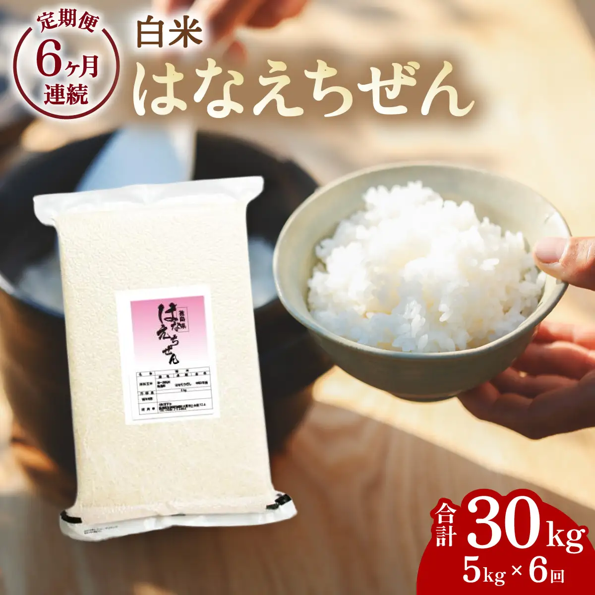 はなえちぜん 白米 5kg×6回 6ヶ月連続 定期便 30kg 真空パック ハナエチゼン 米 簡易梱包 エコ梱包