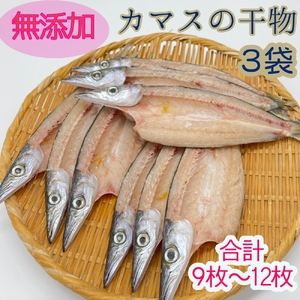 無添加 干物 カマスの開き３袋 合計９枚～12枚入り 【R00823】