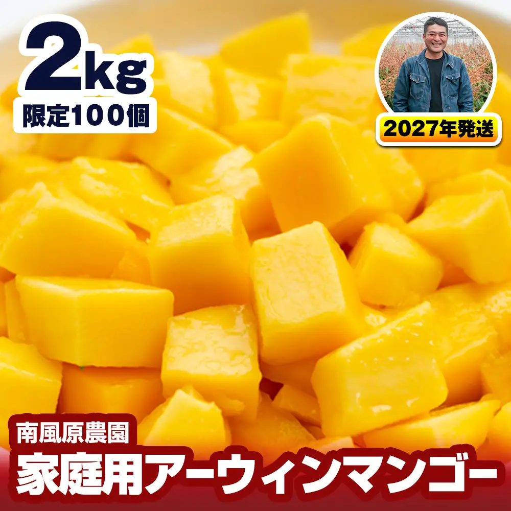 【2027年発送】南風原農園 家庭用アーウィンマンゴー2kg