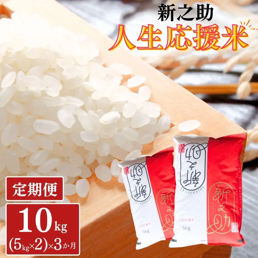 新之助 定期便10kg(5kg×2)×3か月 人生応援米 令和8年産 新之助 アグリ巧房 