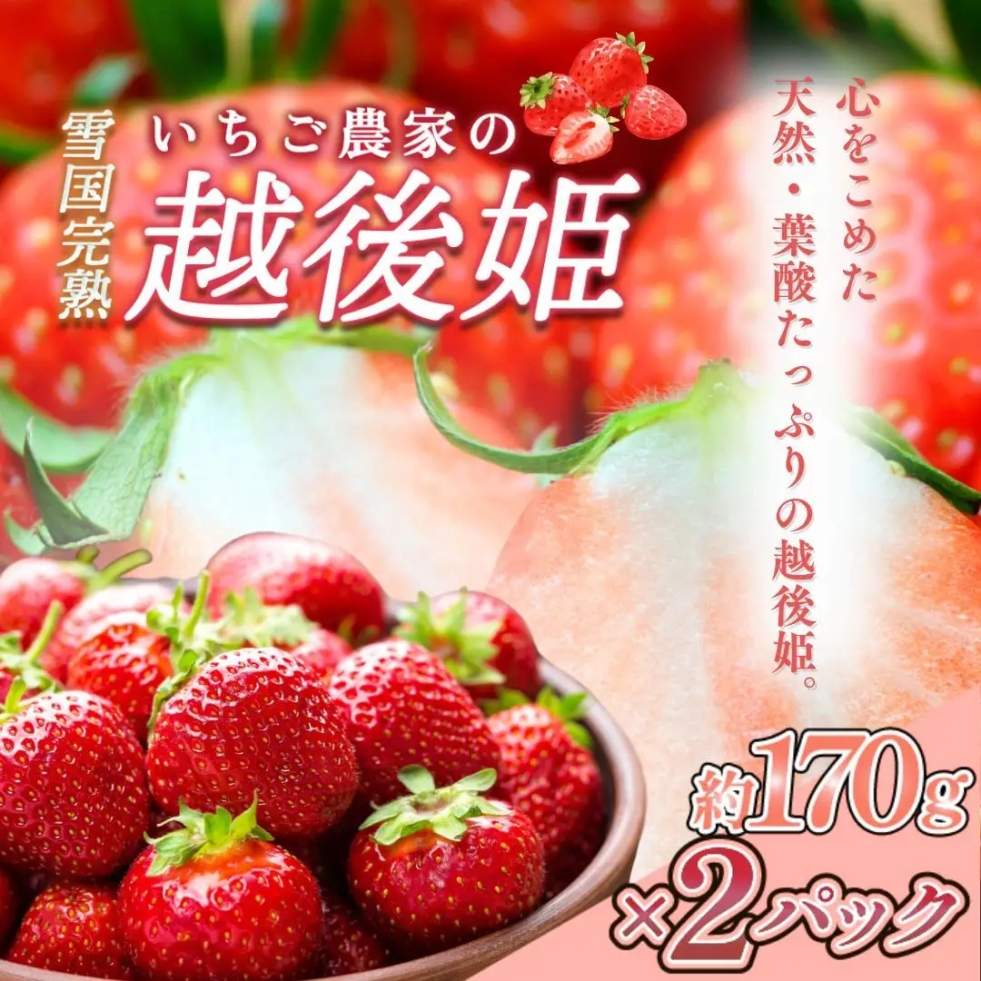 【先行予約】越後姫 いちご 雪国完熟 約170g×2P 越後姫 フルーツ