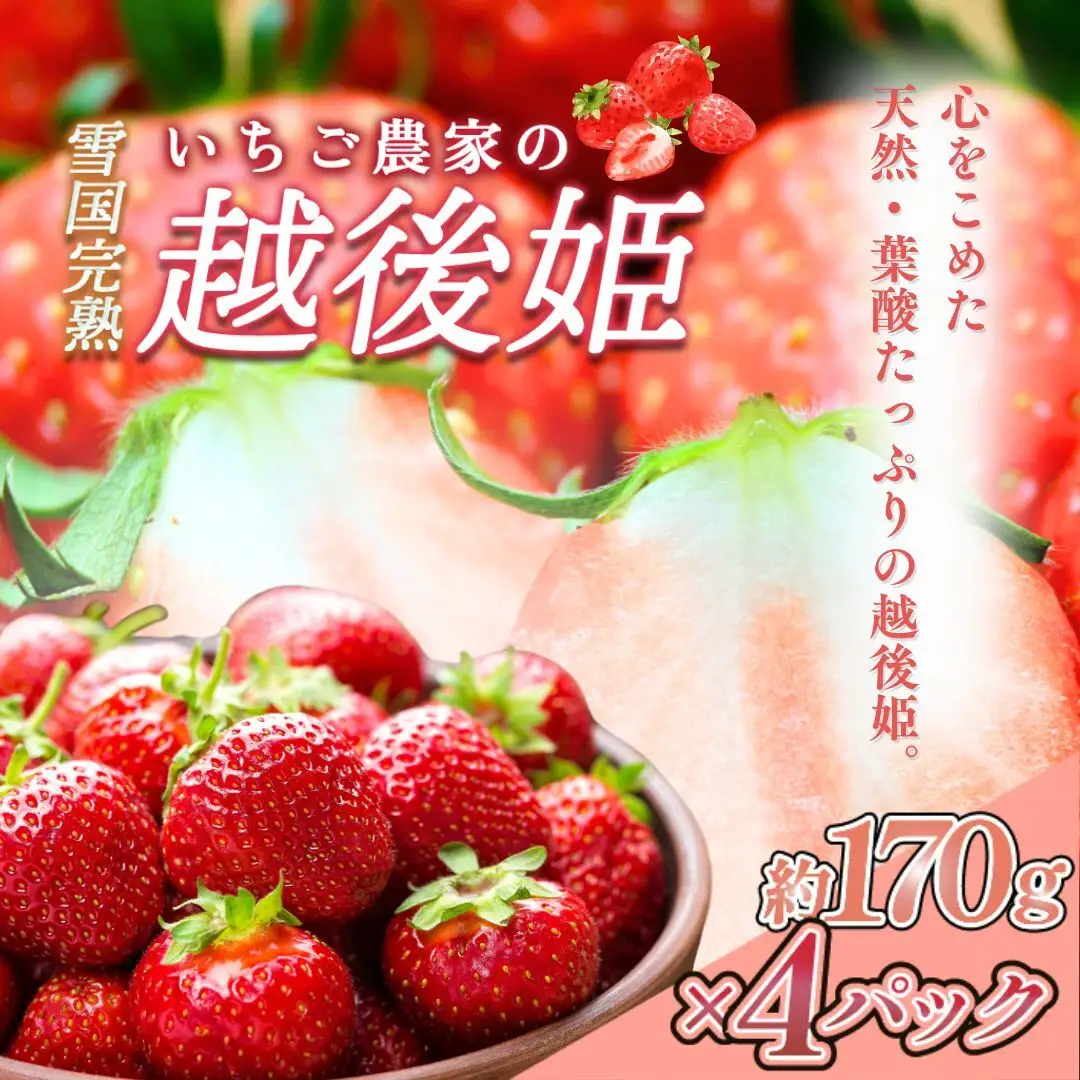 【先行予約】越後姫 いちご 雪国完熟 約170g×4P 越後姫 フルーツ