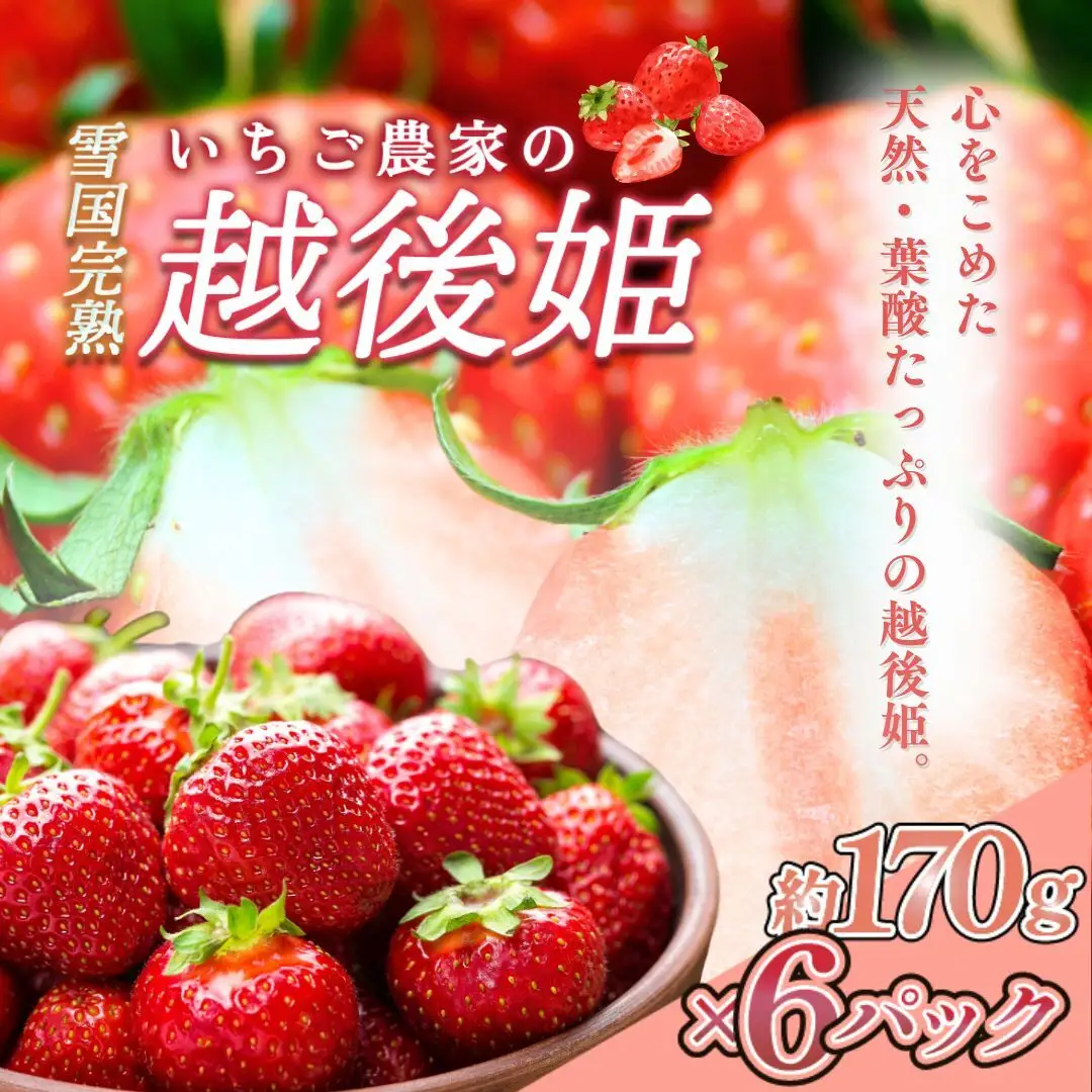 【先行予約】越後姫 いちご 雪国完熟 約170g×6P 越後姫 フルーツ