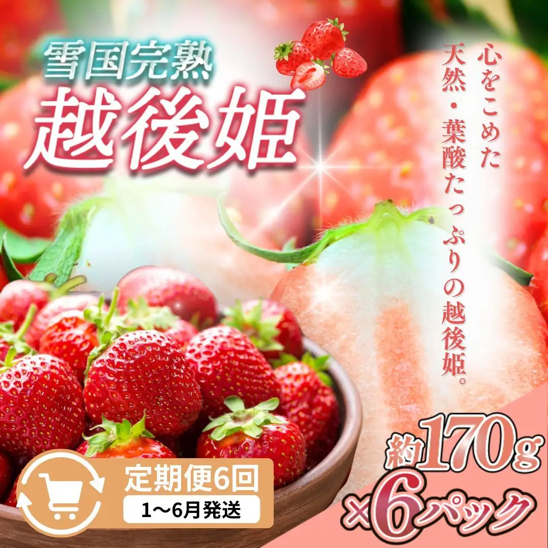 【先行予約 定期便6回】越後姫 いちご 雪国完熟 1〜6月 170g×6回 いちご