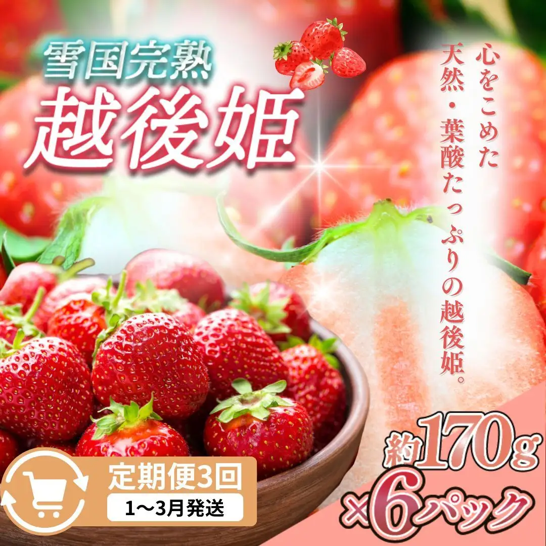 【先行予約 定期便3回】越後姫 いちご 雪国完熟 1〜3月 170g×6回 いちご