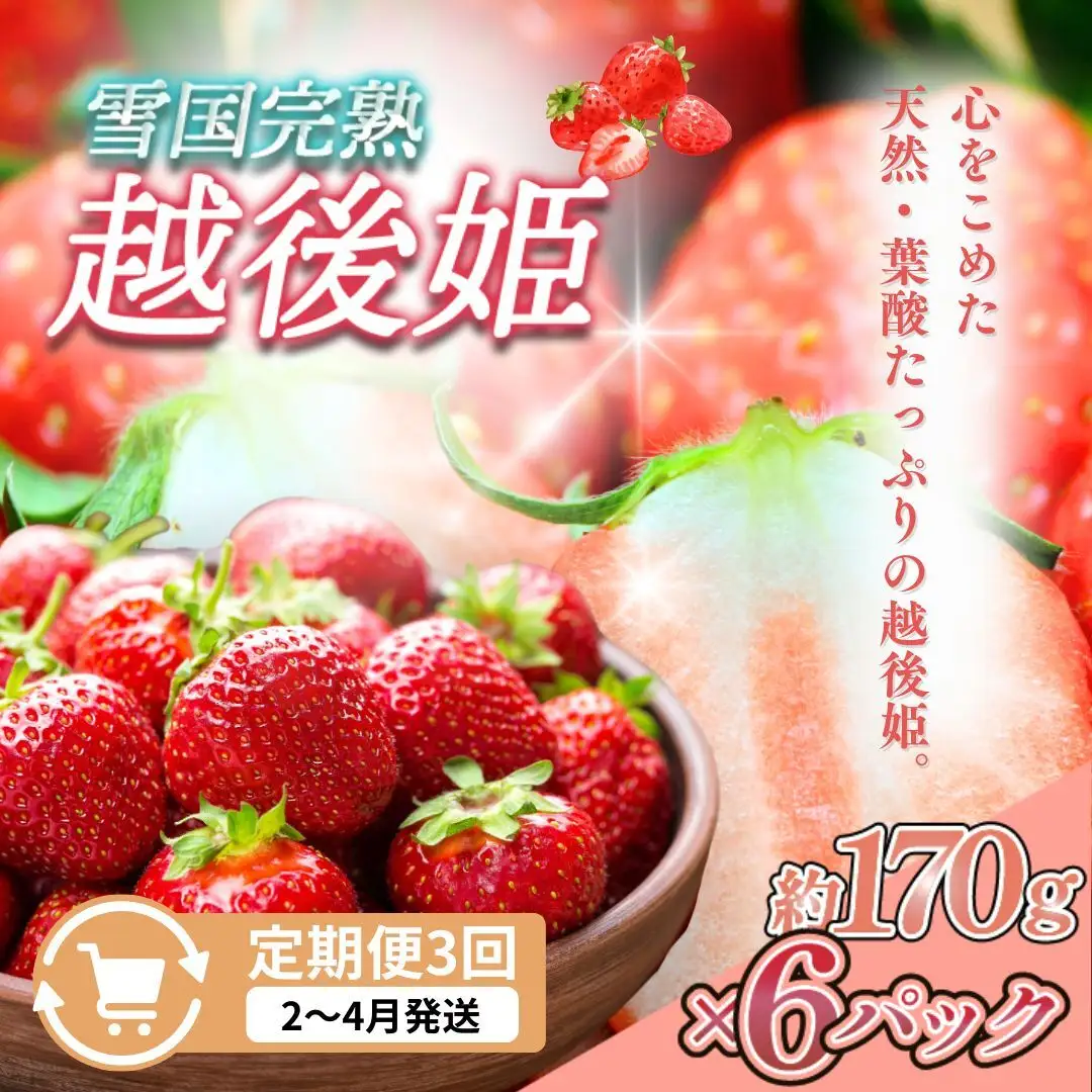 【先行予約 定期便3回】越後姫 いちご 雪国完熟 2〜4月 170g×6回 いちご