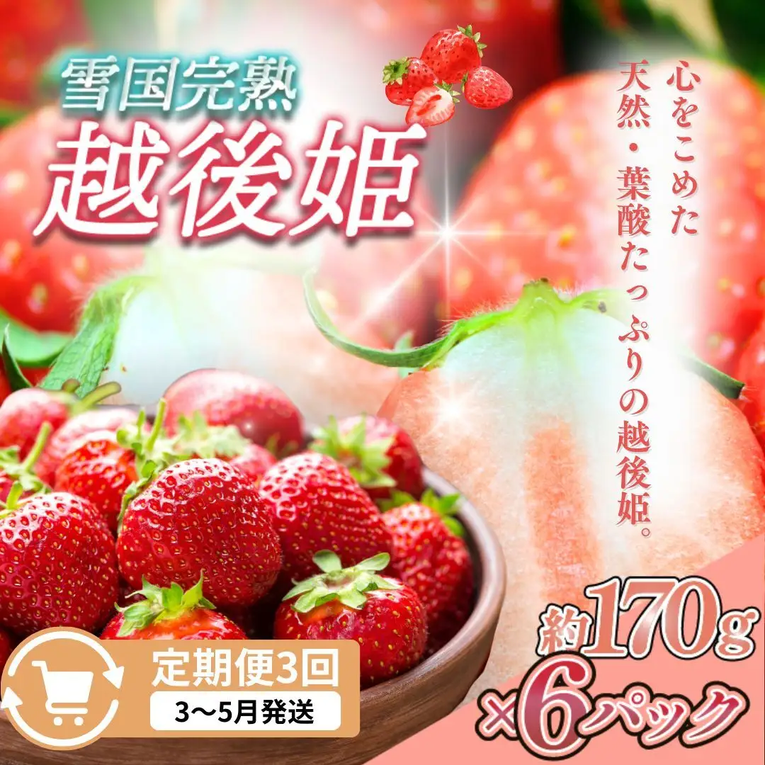 【先行予約 定期便3回】越後姫 いちご 雪国完熟 3〜5月 170g×6回 いちご