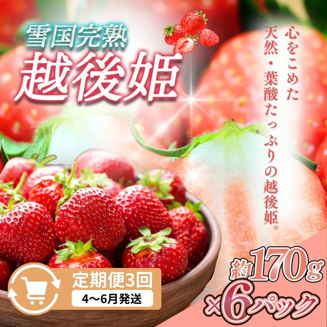 【先行予約 定期便3回】越後姫 いちご 雪国完熟 4〜6月 170g×6回 いちご