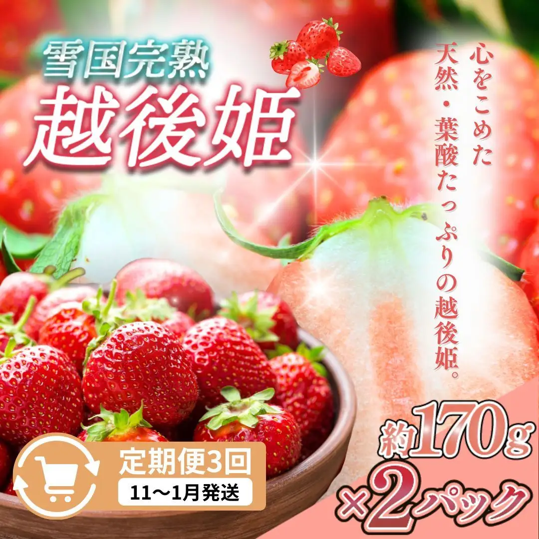【先行予約 定期便3回】越後姫 いちご 雪国完熟 11〜1月 170g×2回 いちご
