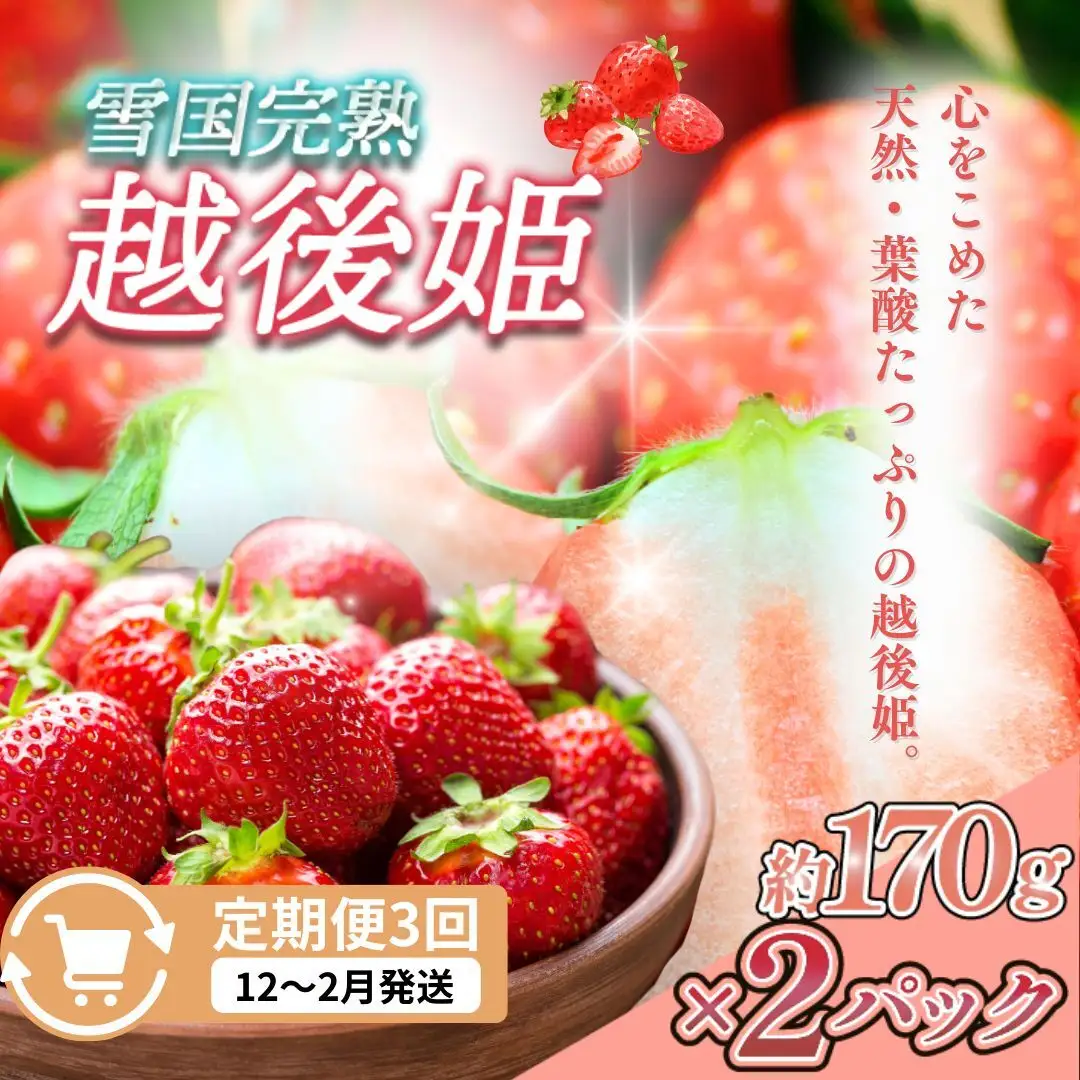 【先行予約 定期便3回】越後姫 いちご 雪国完熟 12〜2月 170g×2回 いちご