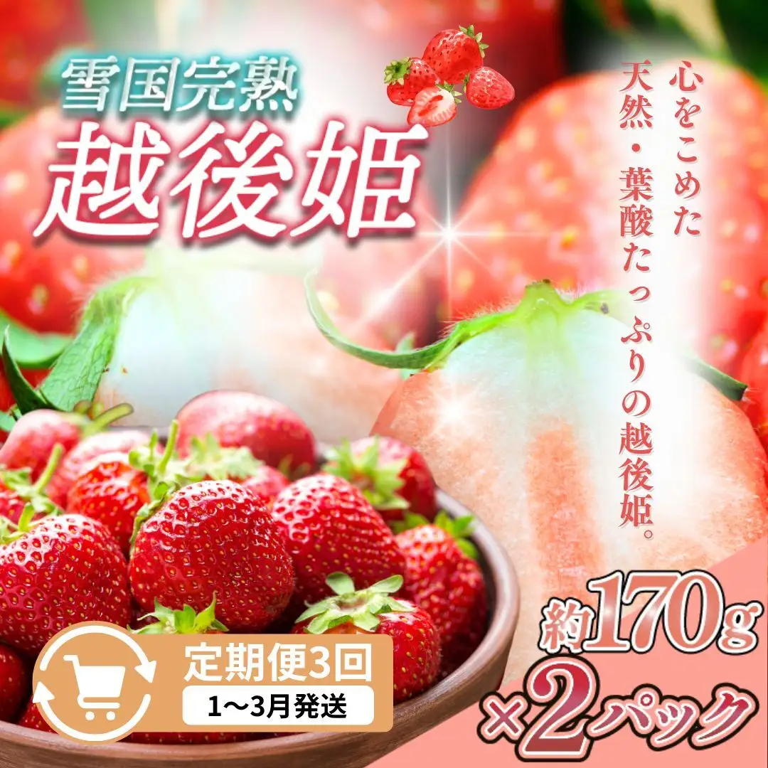 【先行予約 定期便3回】越後姫 いちご 雪国完熟 1〜3月 170g×2回 いちご