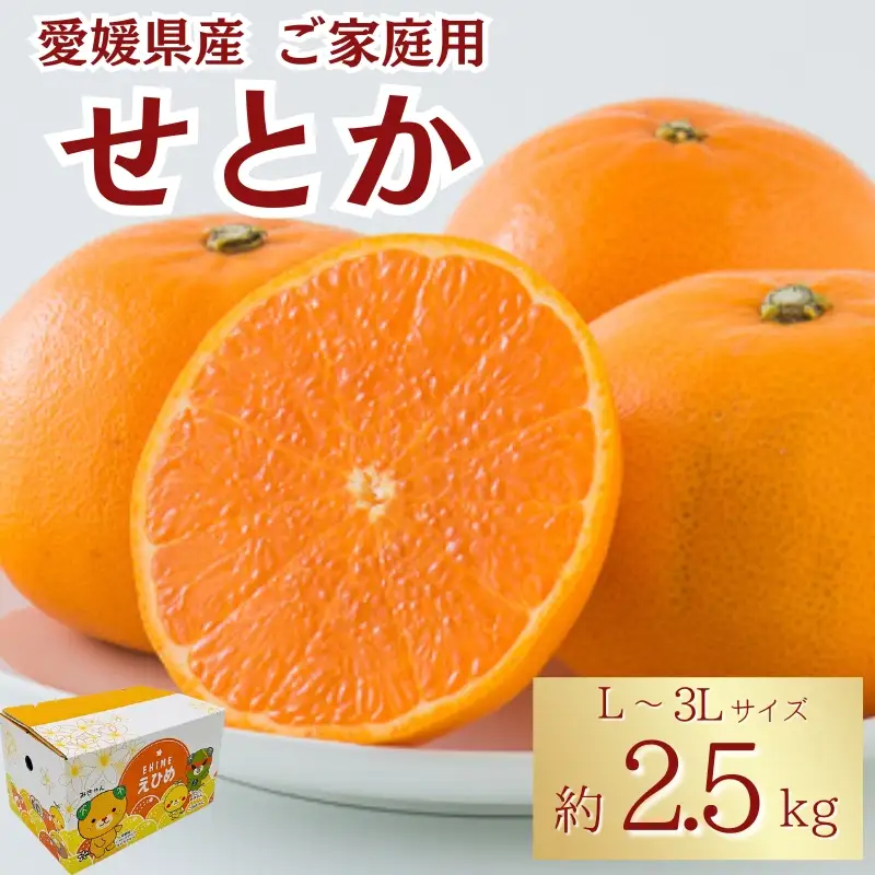 みかん せとか 約2.5kg