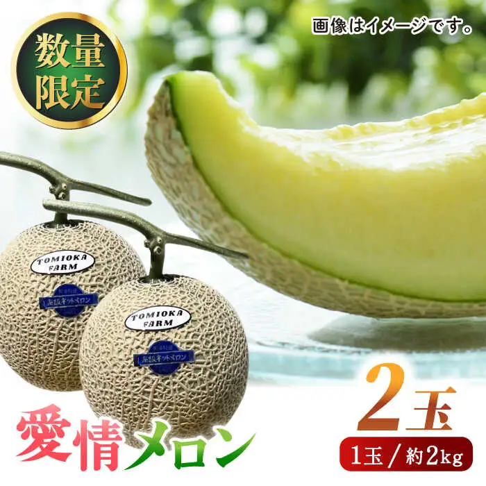 先行予約 年内発送 愛情 メロン 2玉【とみおか農園】[ZEM001]