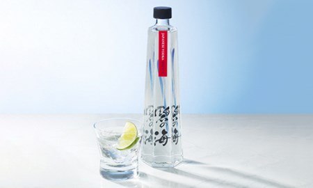国産ウォッカ『碧の海』500ml瓶×２本 純国産 アルコール 酒 蒸留酒 スピリッツ ウォッカ ストレート ショット カクテル 沖縄 サトウキビ 白樺炭 H044-023