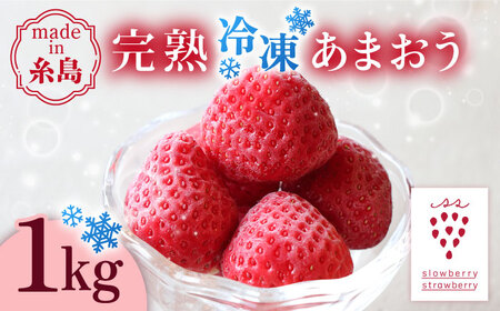 【先行受付】完熟 冷凍 あまおう 1kg 【2027年3月以降順次発送】糸島市 / slowberry strawberry [APJ006] あまおう いちご 果物 冷凍 冷凍あまおう フルーツ 果物 苺 