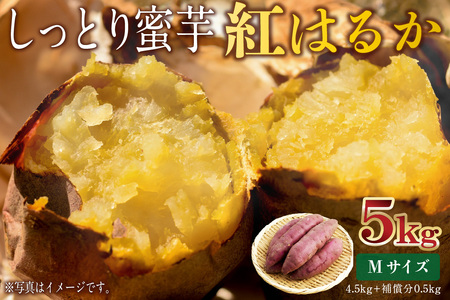 さつまいも　紅はるか　Mサイズ　5kg mi0084-0008-3
