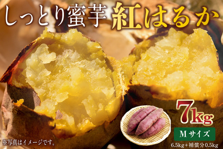 さつまいも　紅はるか　Mサイズ　7kg mi0084-0008-5