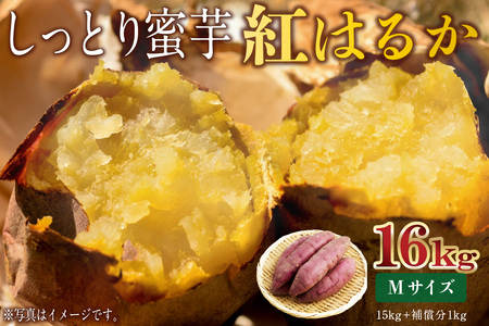 さつまいも　紅はるか　Mサイズ　16kg mi0084-0008-7
