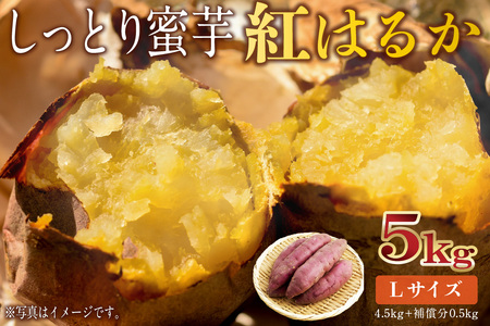 さつまいも　紅はるか　Lサイズ　5kg mi0084-0009-3