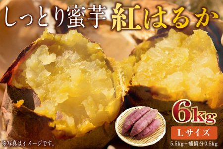 さつまいも　紅はるか　Lサイズ　6kg mi0084-0009-4