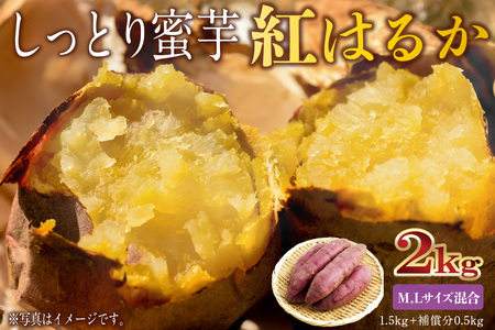 さつまいも　紅はるか　M,Lサイズ混合　2kg mi0084-0010-1