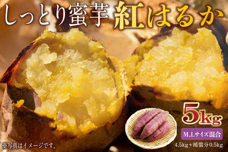 さつまいも　紅はるか　M,Lサイズ混合　5kg mi0084-0010-3