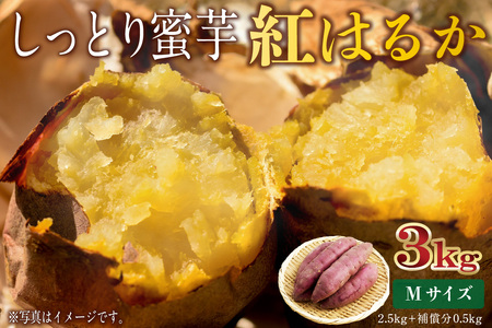 さつまいも　紅はるか　Mサイズ　3kg mi0084-0008-2