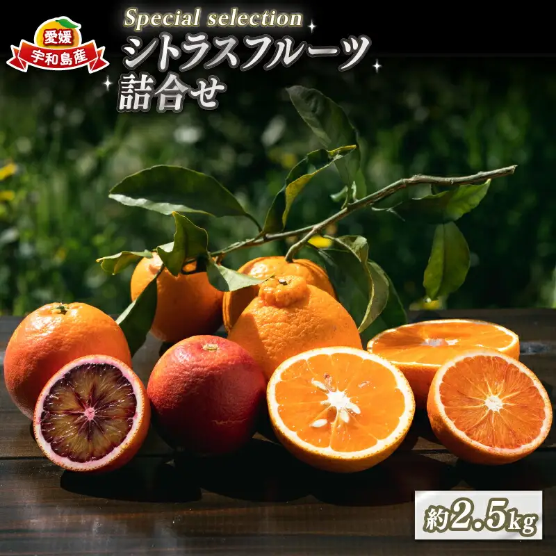 柑橘 詰合せ 2.5kg コルレオファーム 柑橘 B012-145007