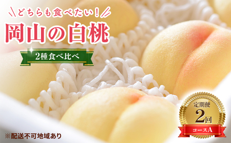 2027年 先行予約】桃 岡山県産 岡山 白桃 2種 食べ比べ プラン 2回