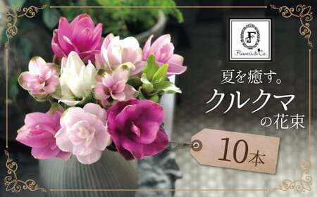 【夏限定】花もち抜群！碧南市産「クルクマ」 カラフルブーケ 10本をかわいく花束にしてお届け H174-001