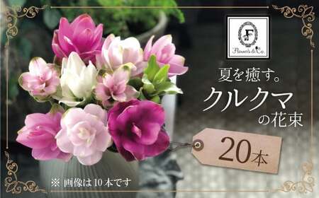 【夏限定】花もち抜群！碧南市産「クルクマ」 カラフルブーケ 20本をかわいく花束にしてお届け H174-002