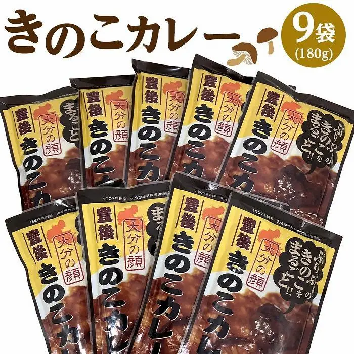 大分県産きのこをまるごと！豊後きのこカレー 180g×9袋 セット | カレー