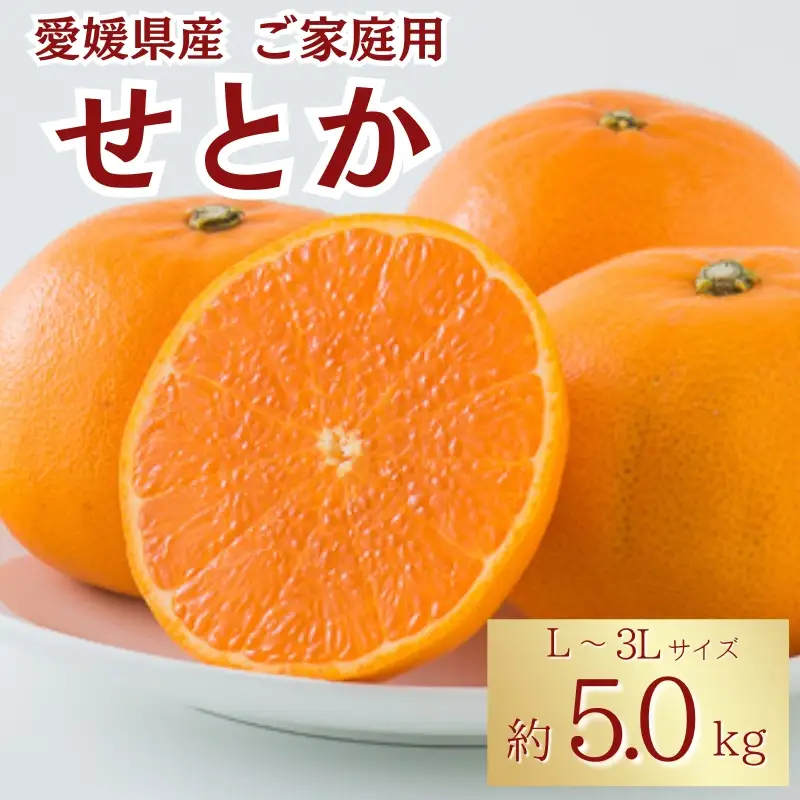 【2月中旬から順次発送】せとか 約5kg L～3Lサイズ ご家庭用 バラ詰め｜B193