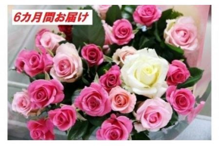 バラ 【6カ月定期便】約20本 花束 バラの花 薔薇