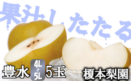 果汁したたる榎本梨園自慢の完熟梨　豊水5玉（4L～5L）　【11246-0380】