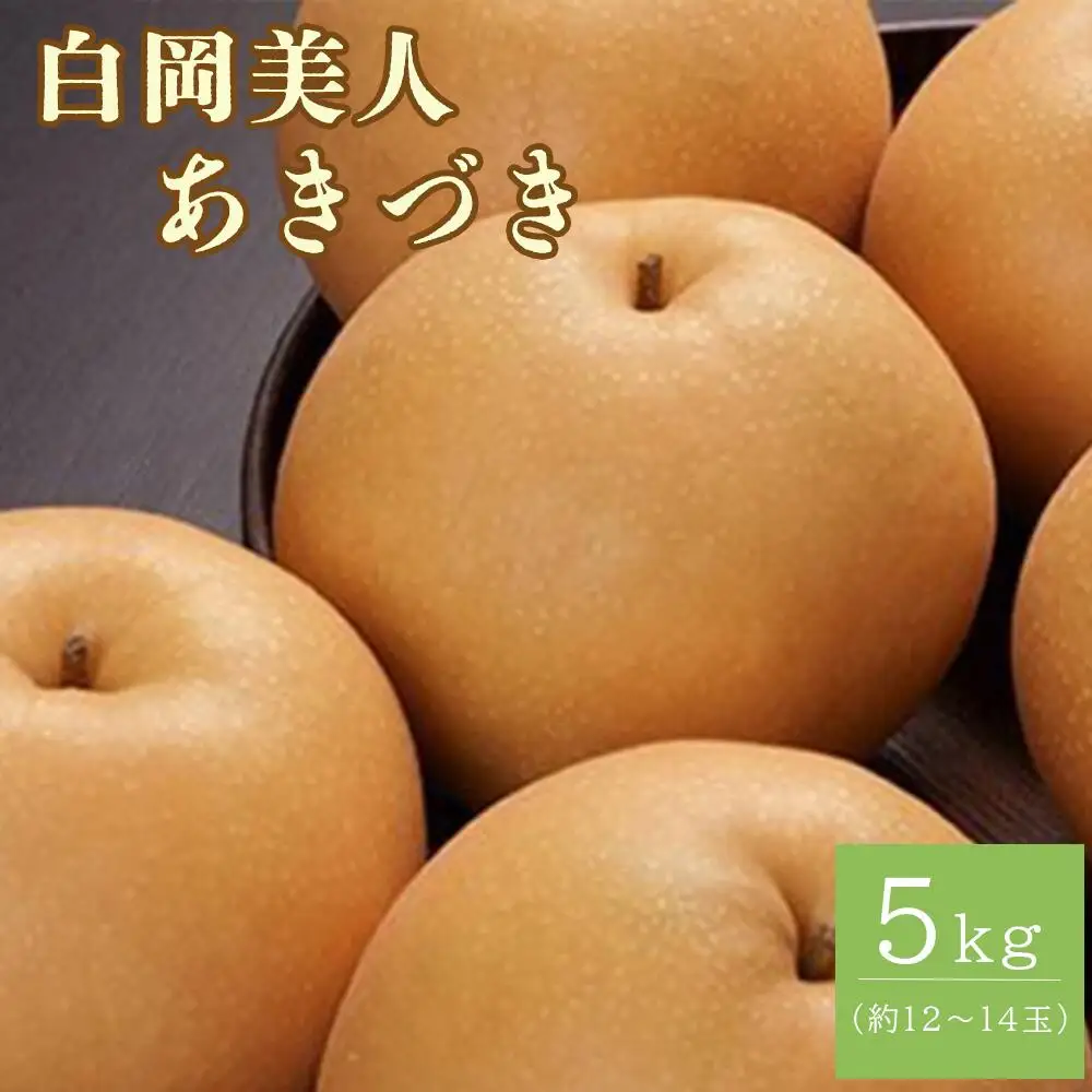 白岡の梨「白岡美人」あきづき梨約5kg（12～14玉）　【11246-0084】