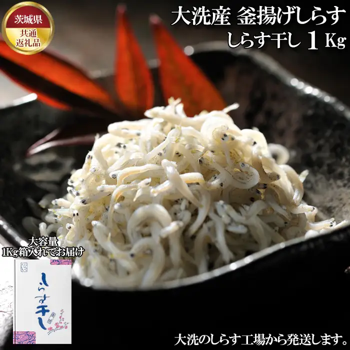 しらす干し　1kg【茨城県共通返礼品 大洗町】 No.433