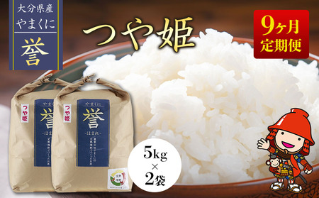 【寄附使途限定】【9ヶ月定期便】九州米・食味コンクール最優秀賞受賞 大分県中津産やまくに誉 つや姫 5kg×2袋 (毎月1回) | お米 精米 白米 国産米 定期便 大分県 中津市