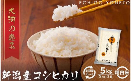 【定期便6ヶ月】新潟市産コシヒカリ 白米 5kg お米 精米 ご飯 代表 自然 飽きない 自信 美味しい 