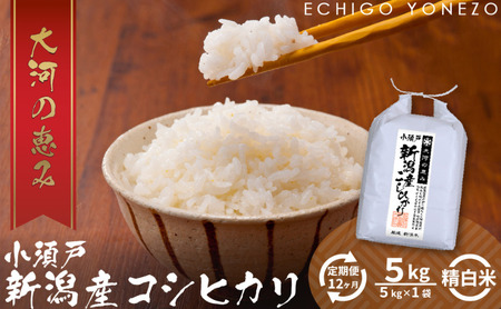 【定期便12ヶ月】新潟市産コシヒカリ 白米 5kg お米 精米 ご飯 代表 自然 飽きない 自信 美味しい 